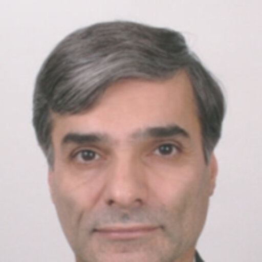 Professor Lotfizad