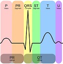 Signal Processing